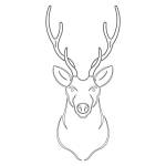 e759dfdad8c6ff136e7e81196656fcc9