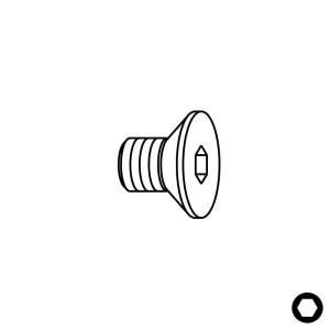 Śruba TSPEI - M3x4x6 D6 IGM