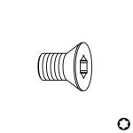 Śruba TSPTI - M5x5x8 D9 Torx25 IGM