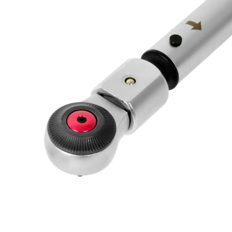 50559
