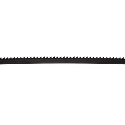 29404